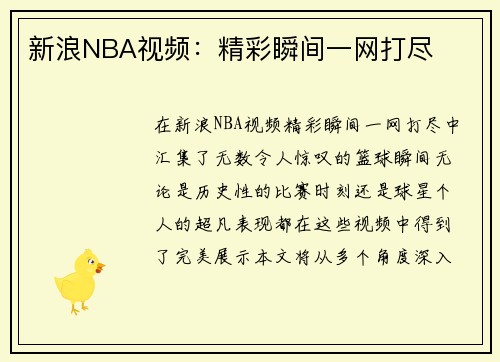 新浪NBA视频：精彩瞬间一网打尽