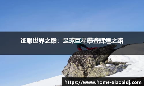 小艾电竞官网