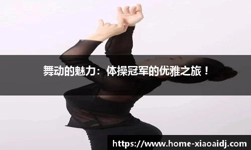 小艾电竞